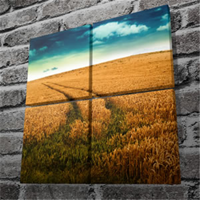Mounted Canvas Prints