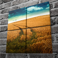 Mounted Canvas Prints